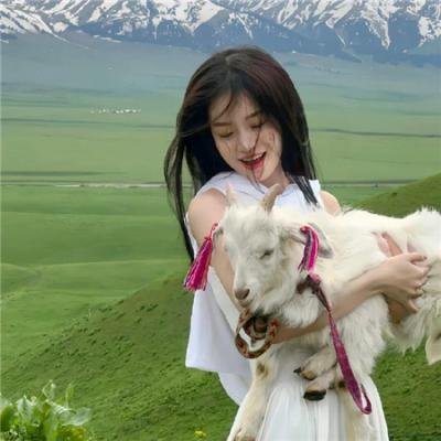 当比约克遇上爱丁堡